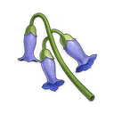 Violetgrass, ascension material | Genshin Impact