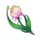 Rainbow Rose, ascension material | Genshin Impact